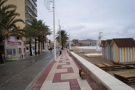 El Campello